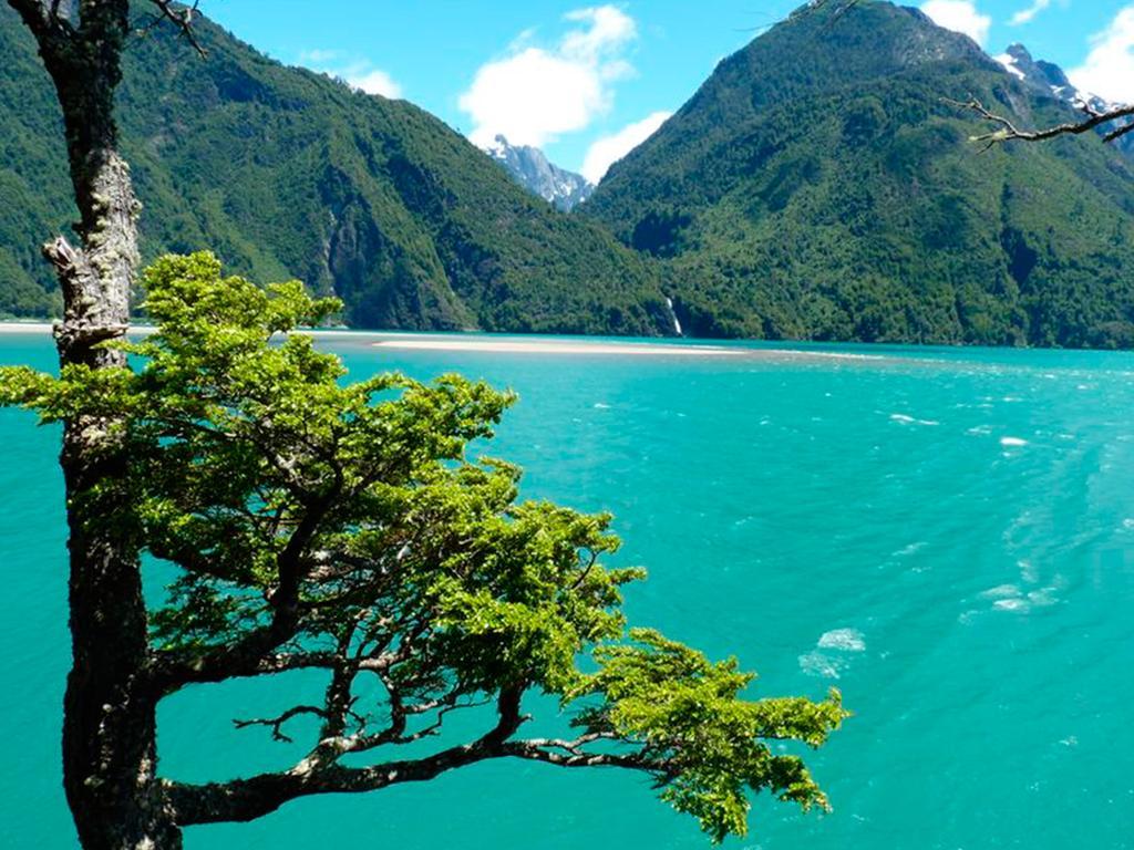 Mitico Puelo Lodge Las Gualas المظهر الخارجي الصورة
