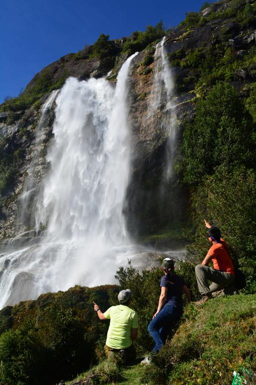 Mitico Puelo Lodge Las Gualas المظهر الخارجي الصورة